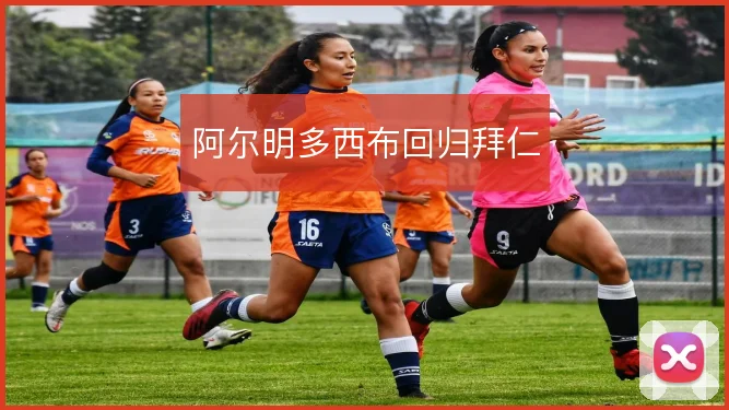 阿尔明多西布回归拜仁